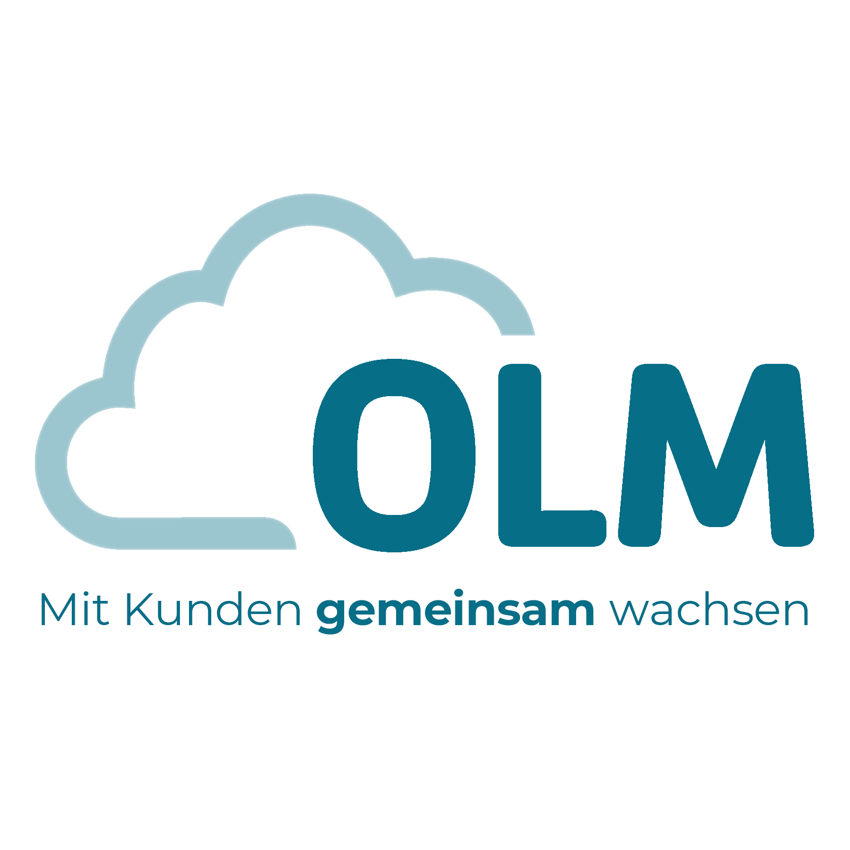 Onlinemarketing Meier GmbH